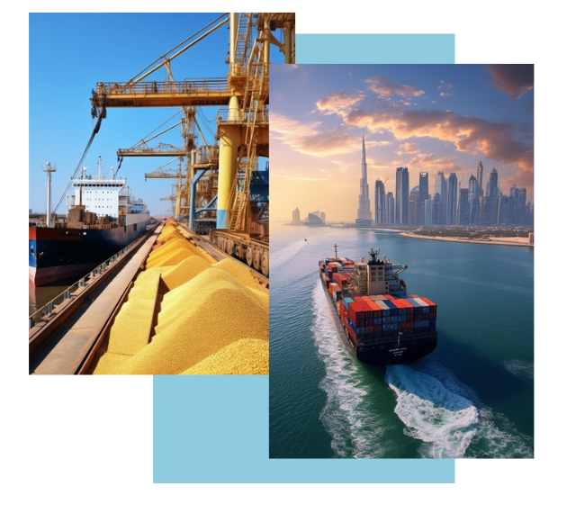 Section illustration